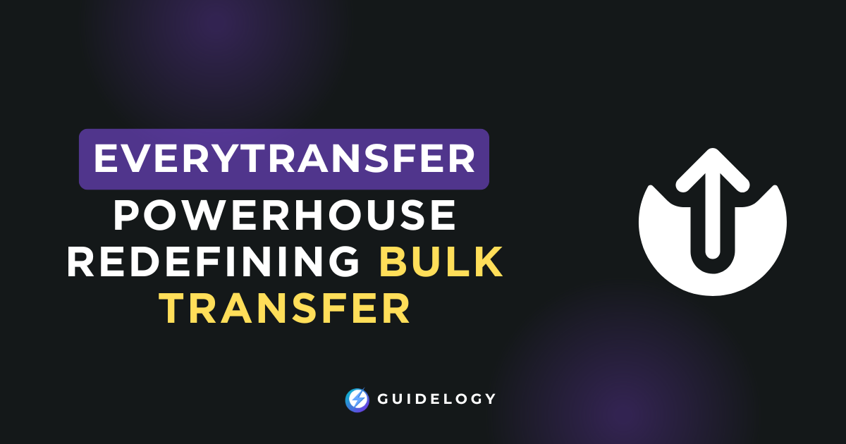 EveryTransfer Review